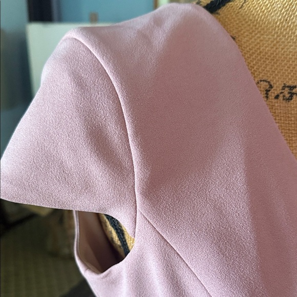 Dress the Population “Dana” Shirred Waist Dress in Light Mauve Size Medium NWT - Picture 5 of 16